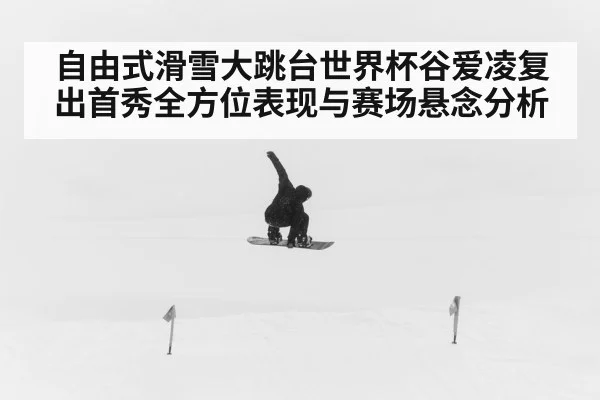 freestyle skiing big air（KAIYUN）
